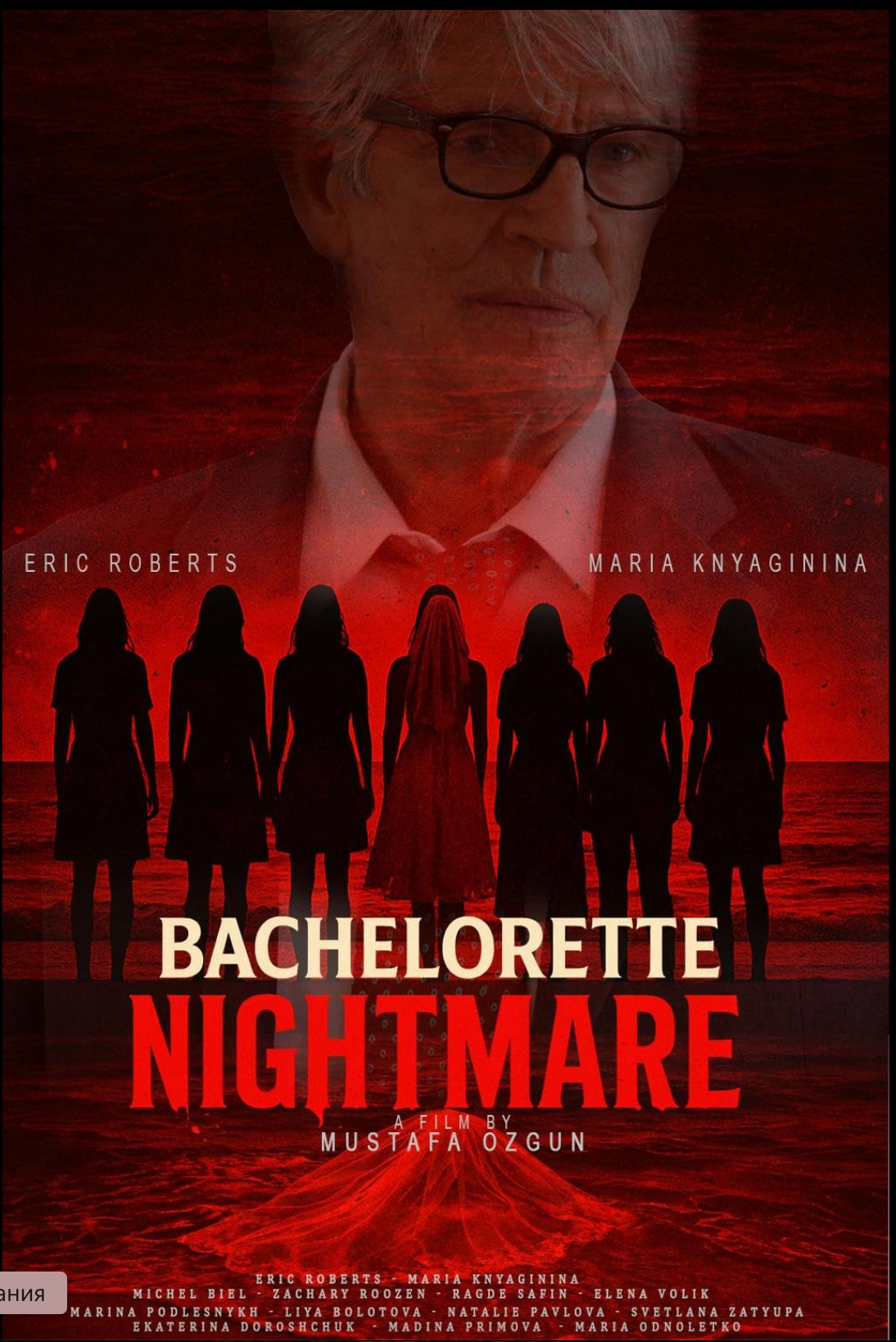 BACHELORETTE NIGHTMARE